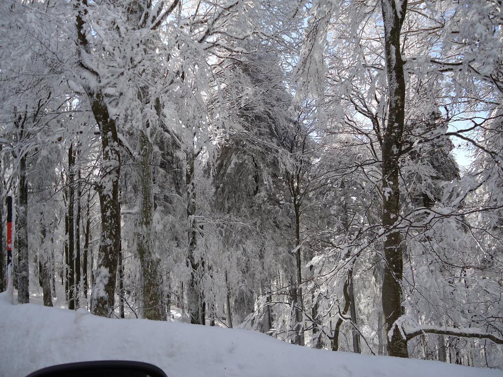 Berghotel Schiller Schonach im Schwarzwald Buitenkant foto
