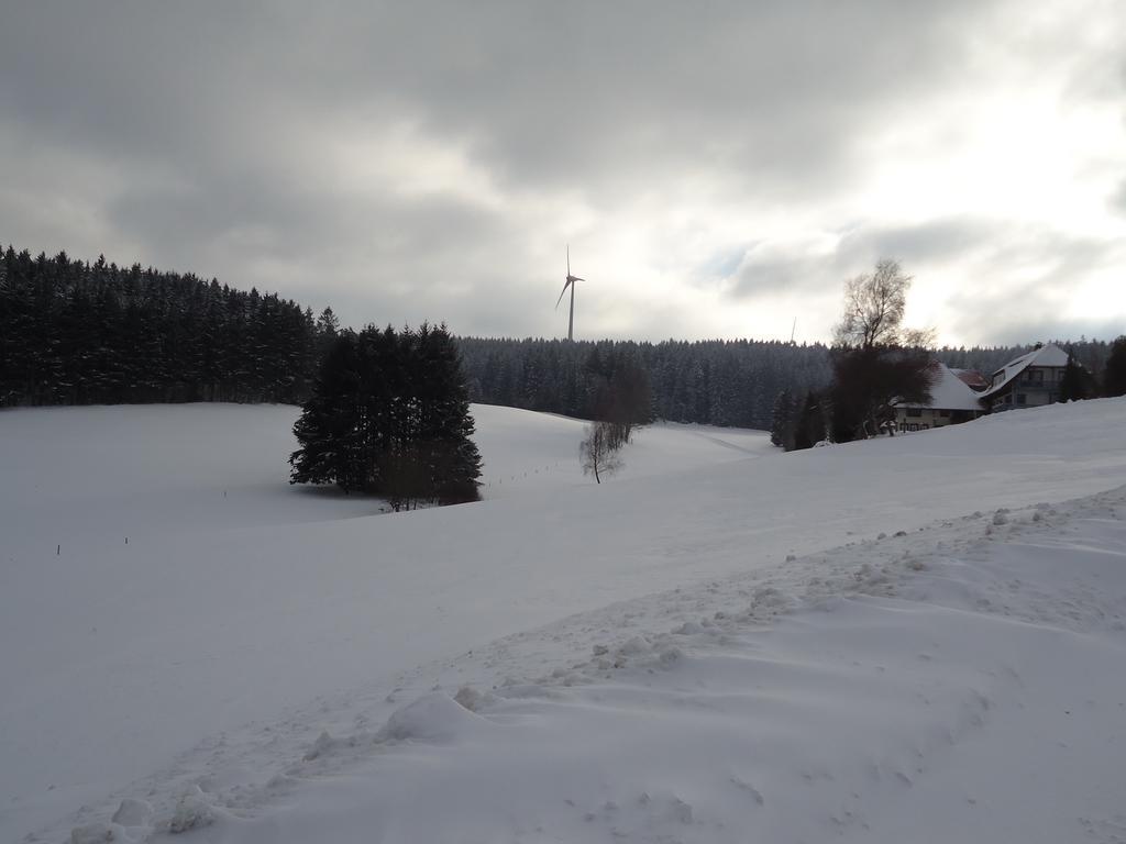 Berghotel Schiller Schonach im Schwarzwald Buitenkant foto